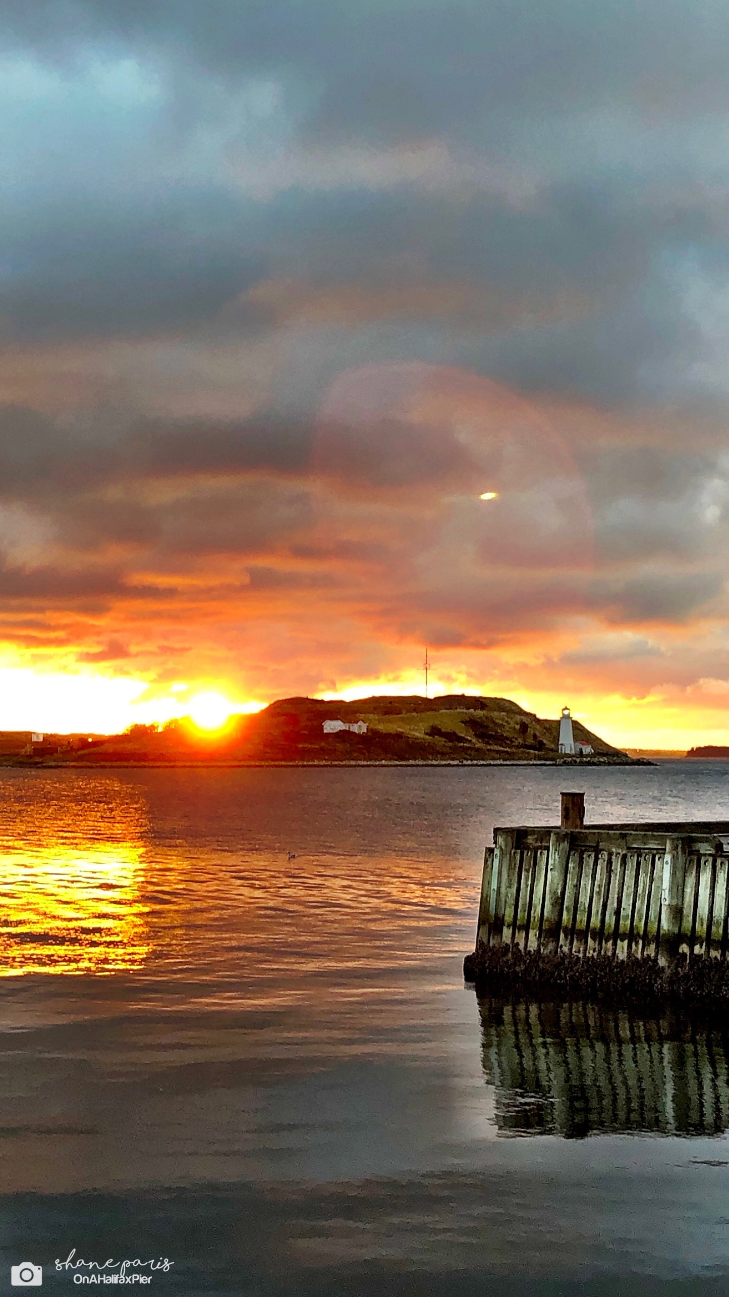 Halifax Ignites