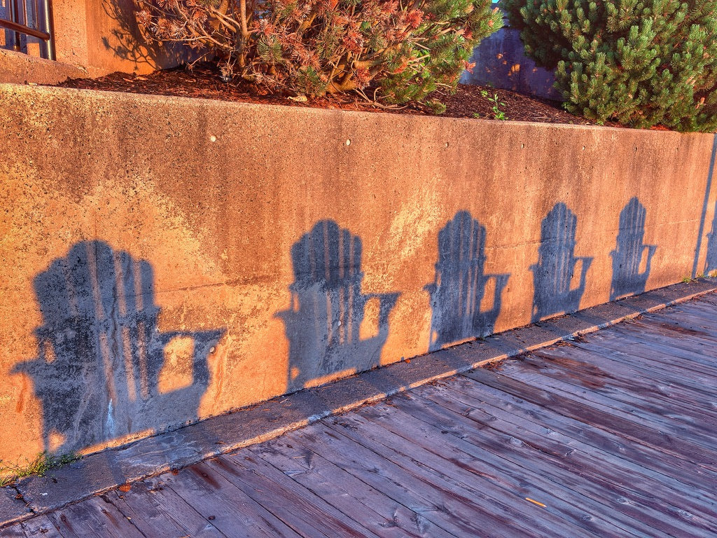 Shadows