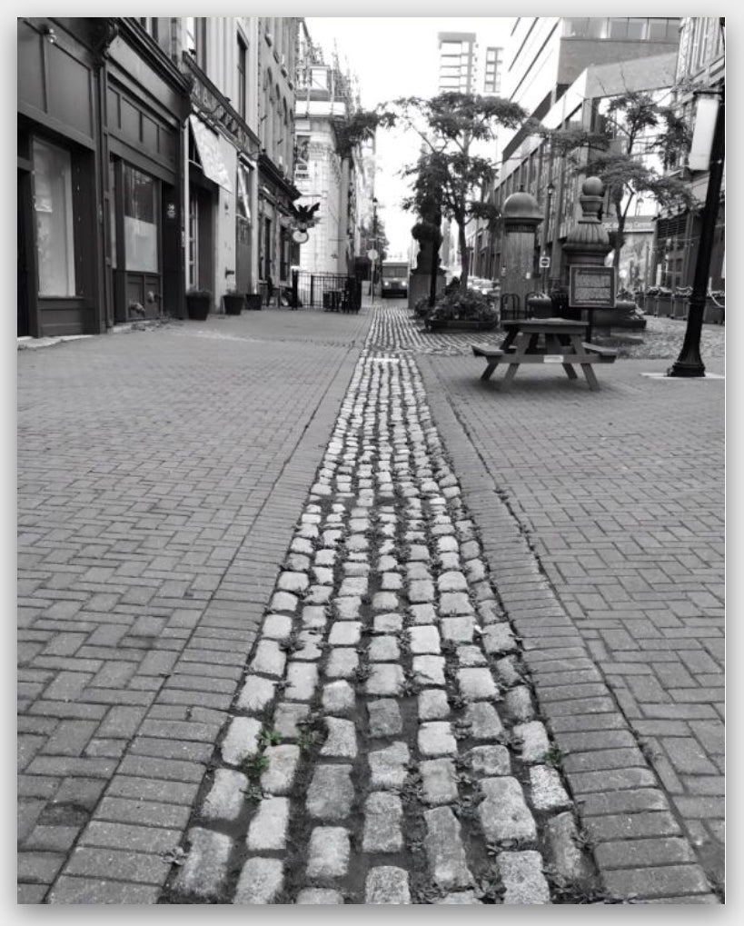 The Road Not Taken
