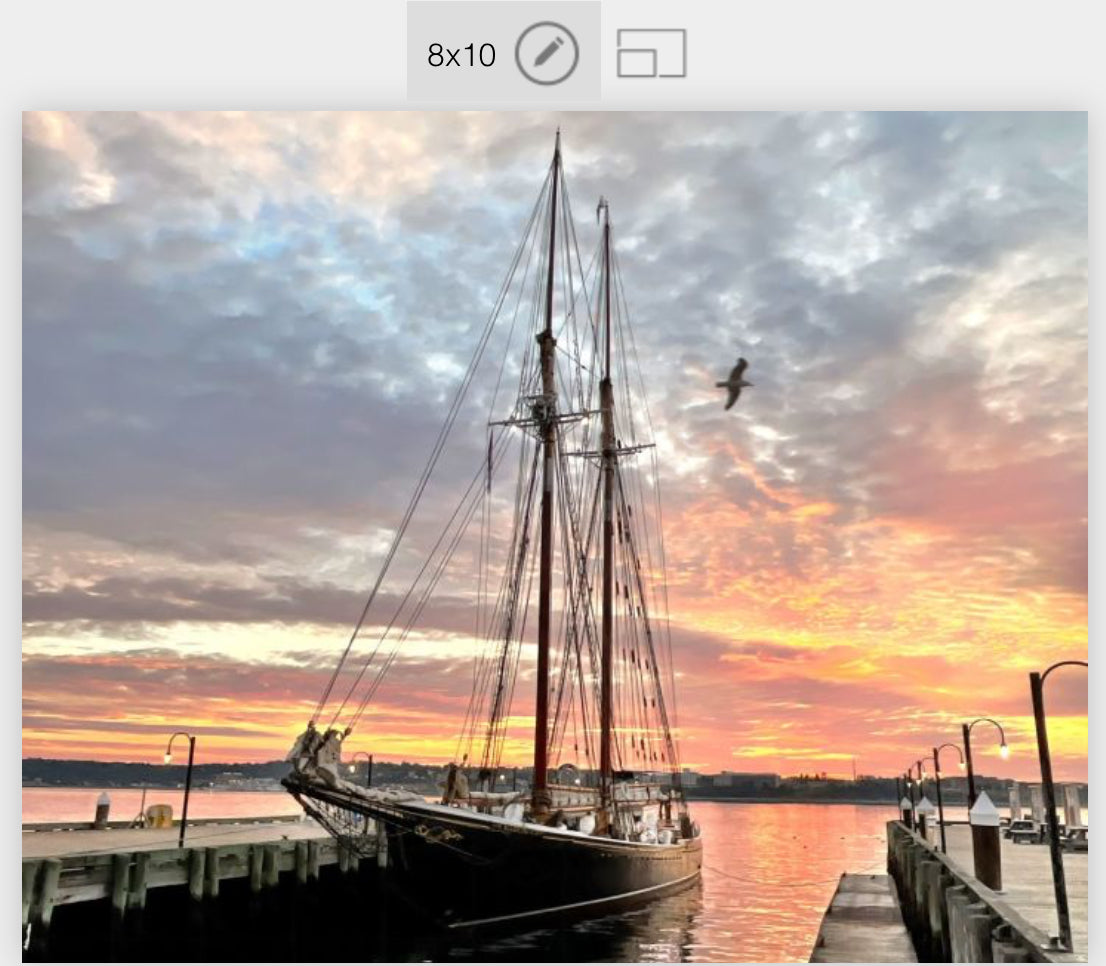The Bluenose is sailing once again