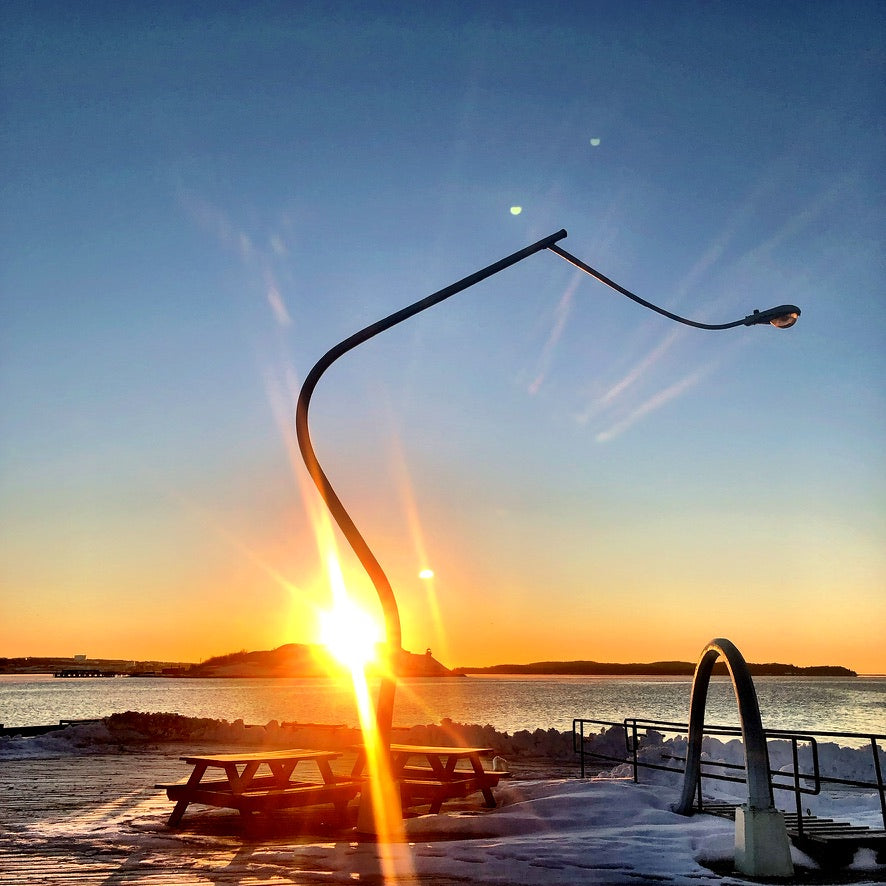 Rise Anyway