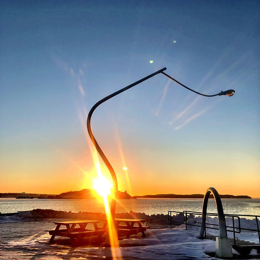 Rise Anyway