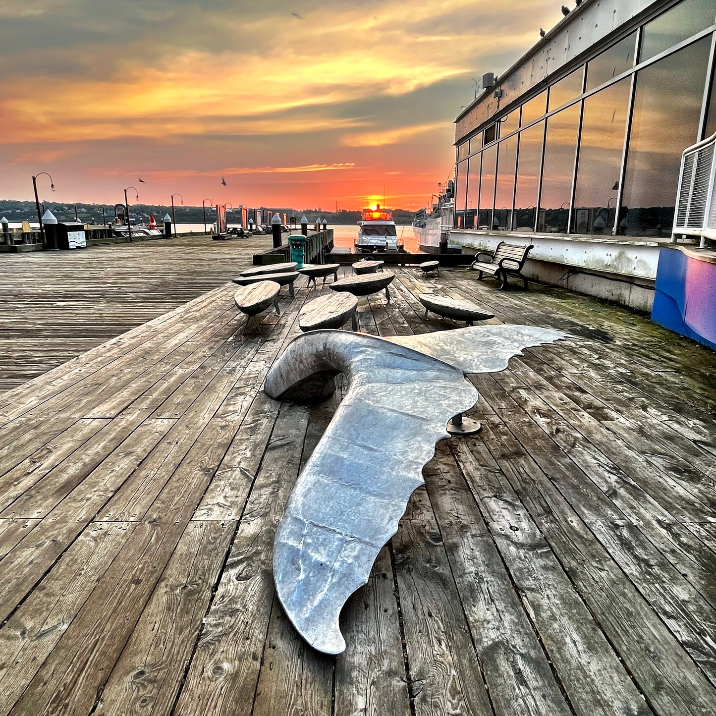 Tail of the Dawn