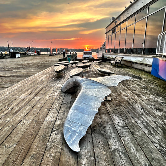 Tail of the Dawn
