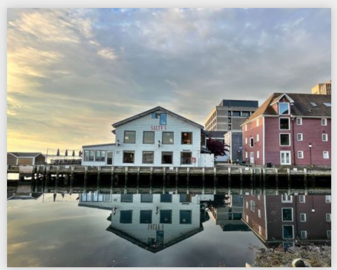 Saltys - Reflections