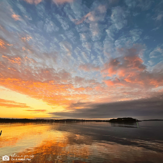 The morning burns bright