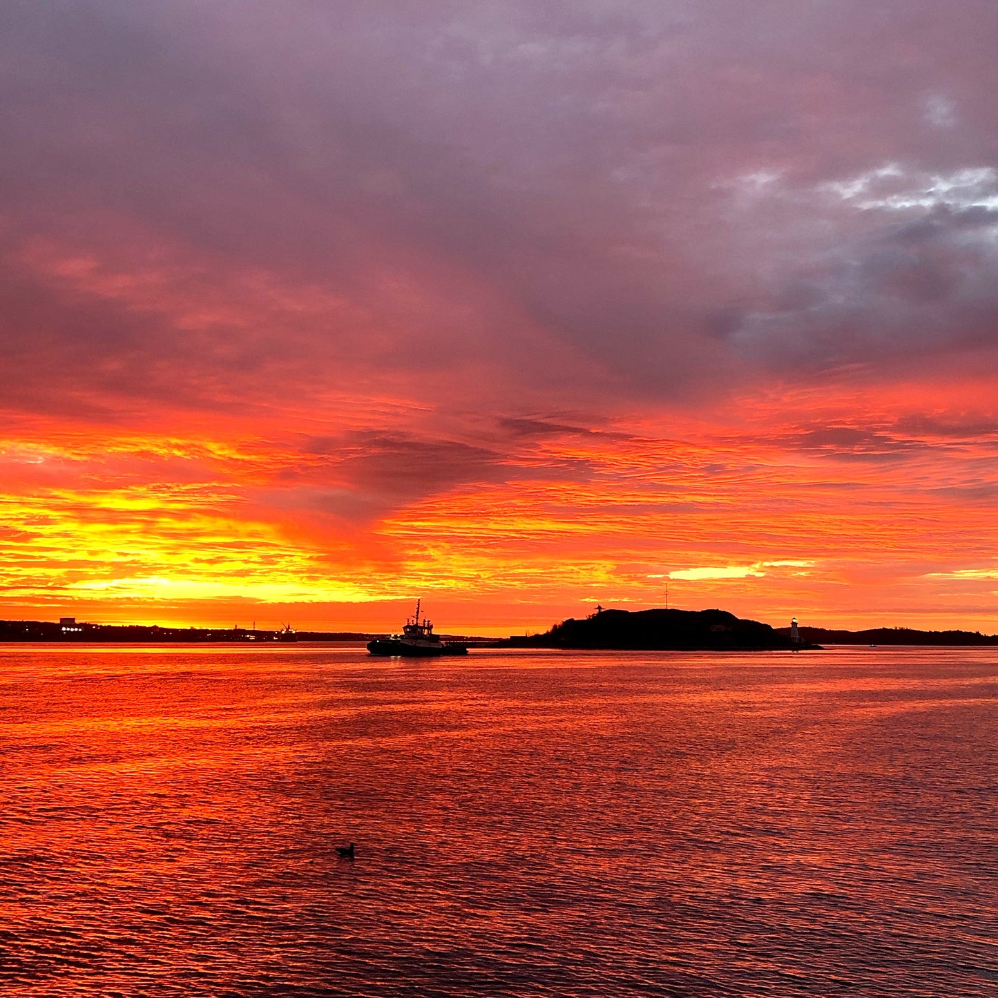Guided by morning
