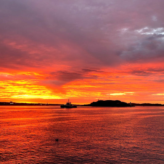 Guided by morning