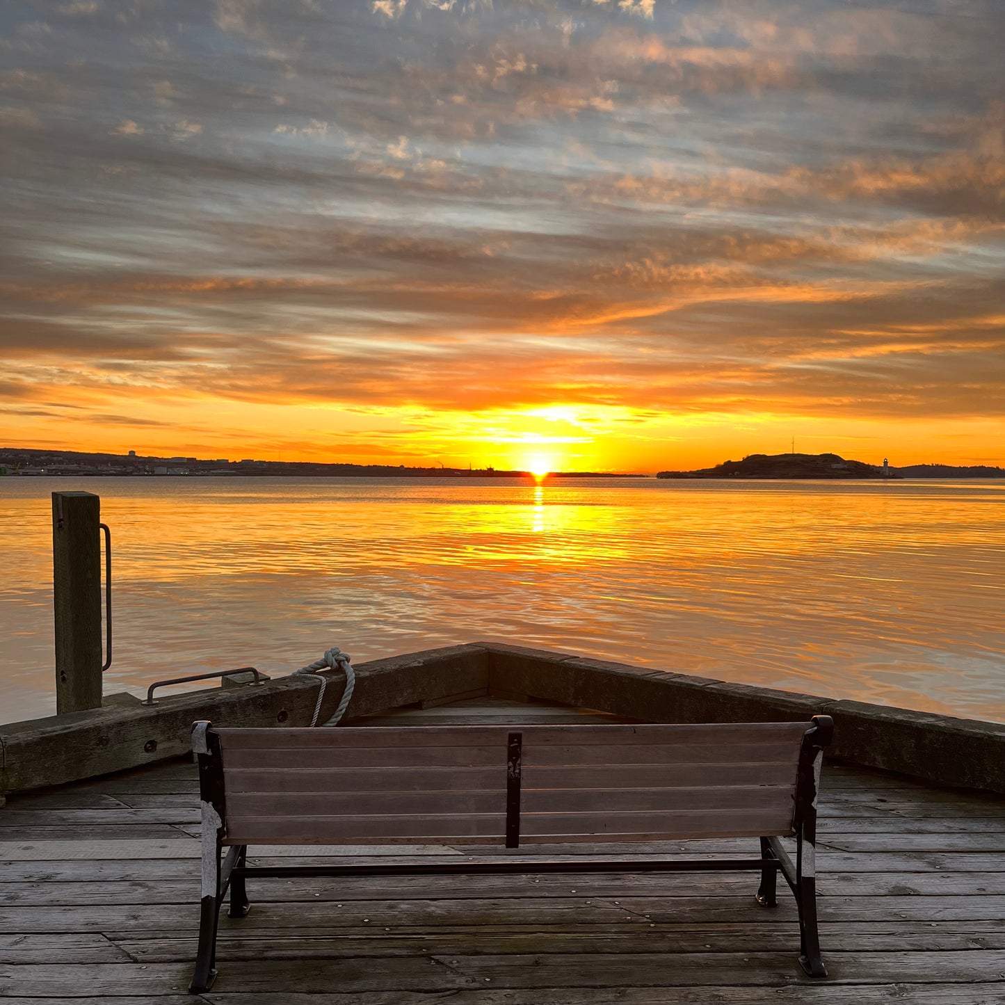Solitude in Gold