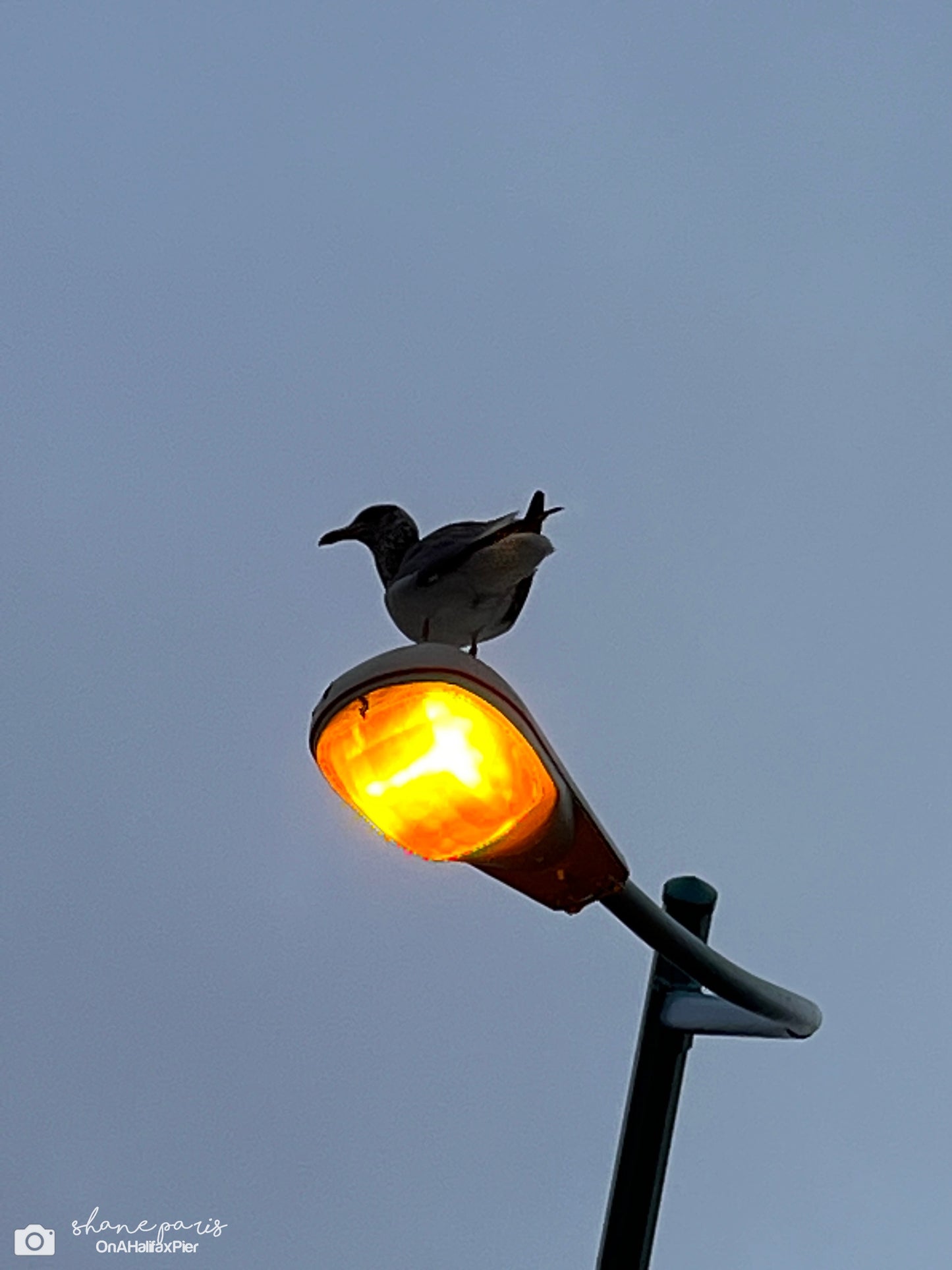 Keeper of the light
