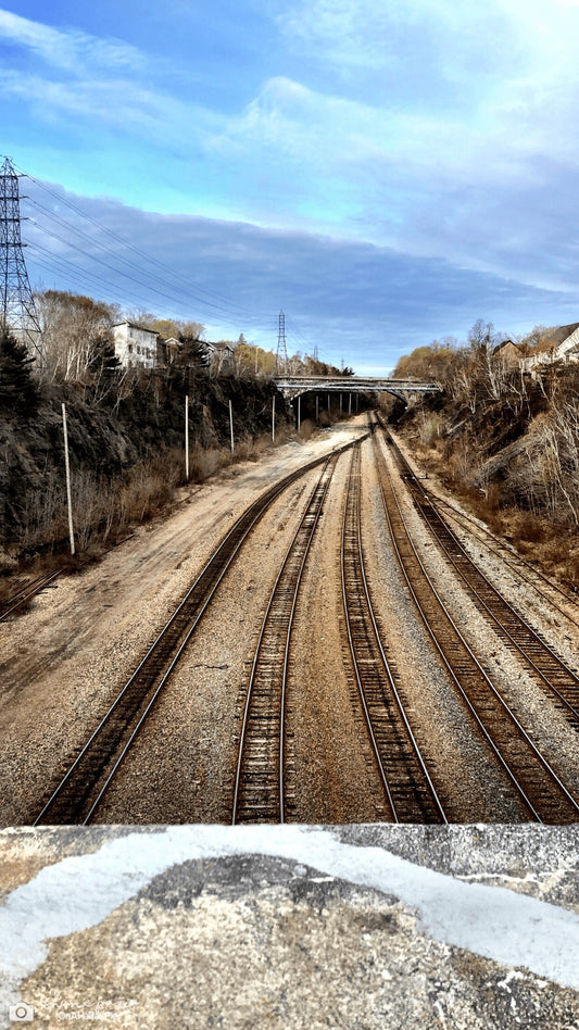 Paths to persistence
