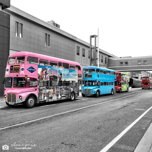 The wheels on the bus in technicolour