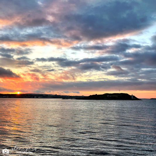 Harbour Awakening