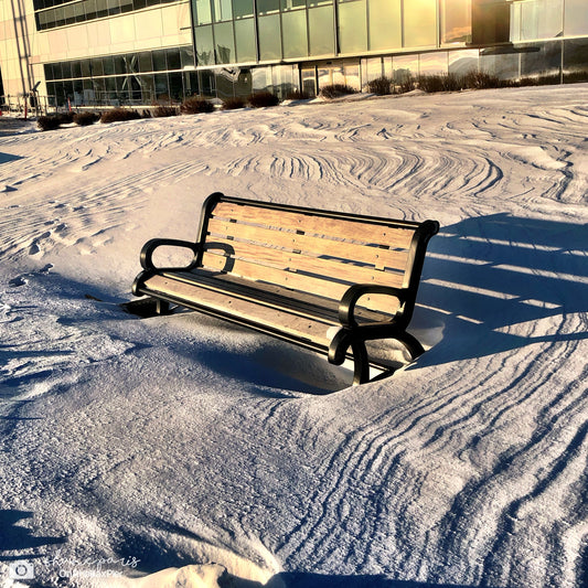 Frozen Conversations