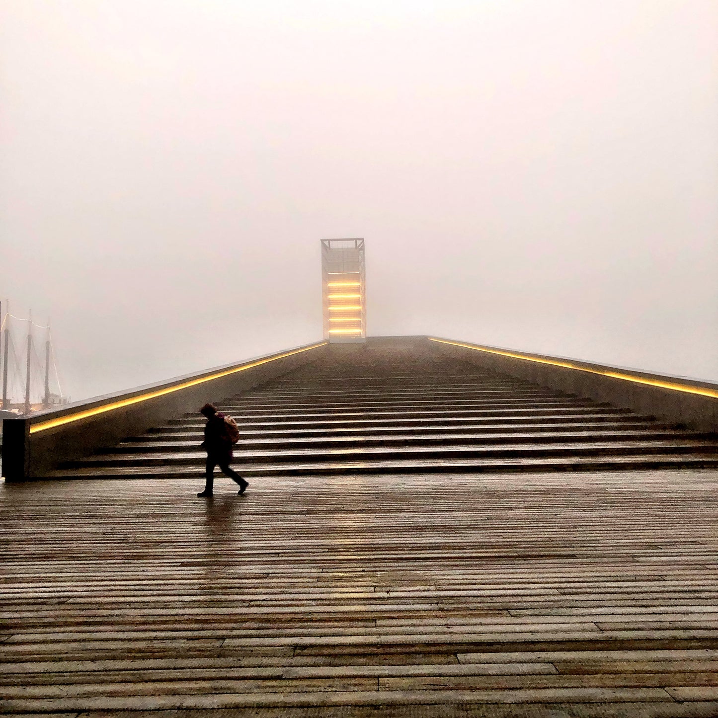 The long journey